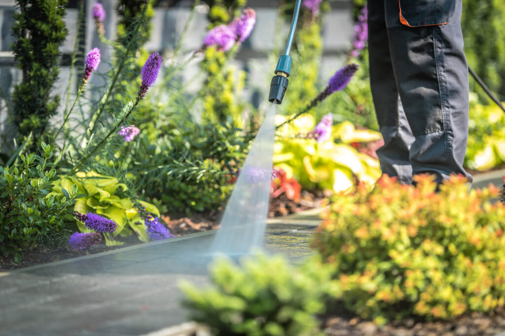 Garden Clearance